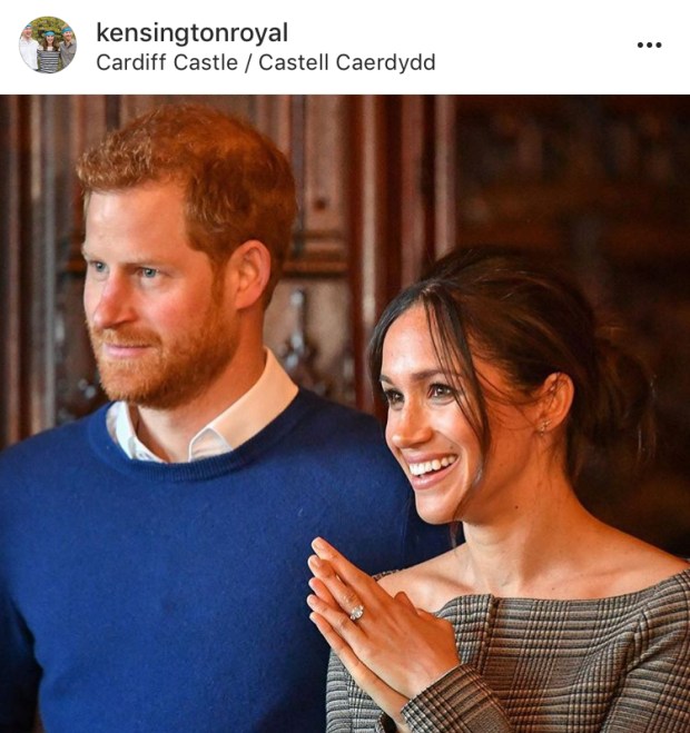 Meghan M.jpeg